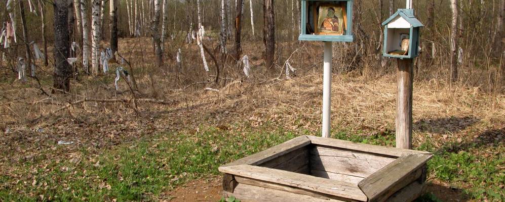 
            Фотография деревни Васютники