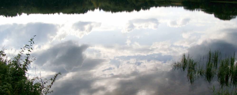 
            Фотография Кожино