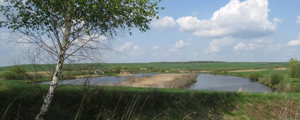 
            Фотография Вощатина