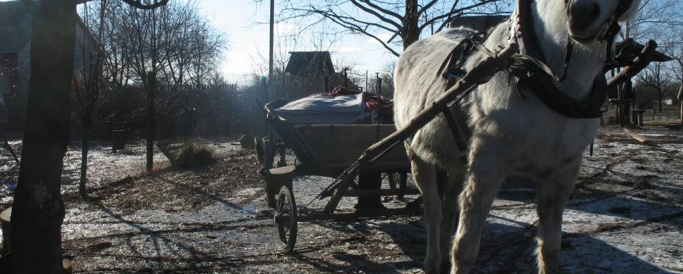 Фотография Могилева