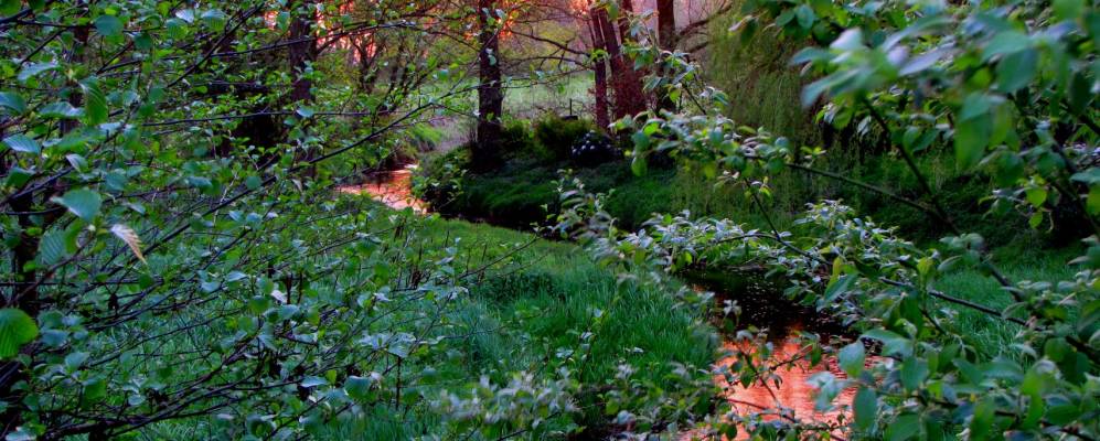 
            Фотография Айдельштедта