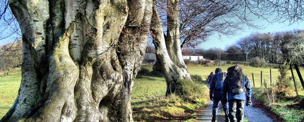 
            Фотография Лампетера