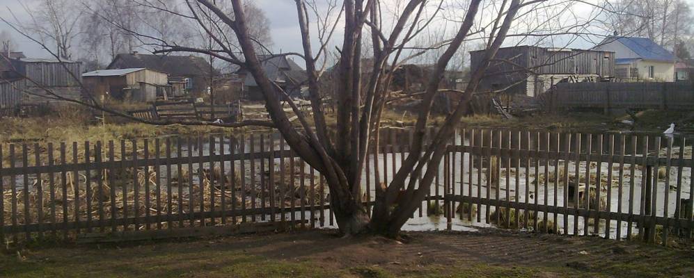 
            Фотография Волково