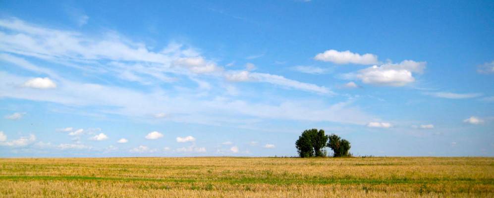 
            Фотография Тумы