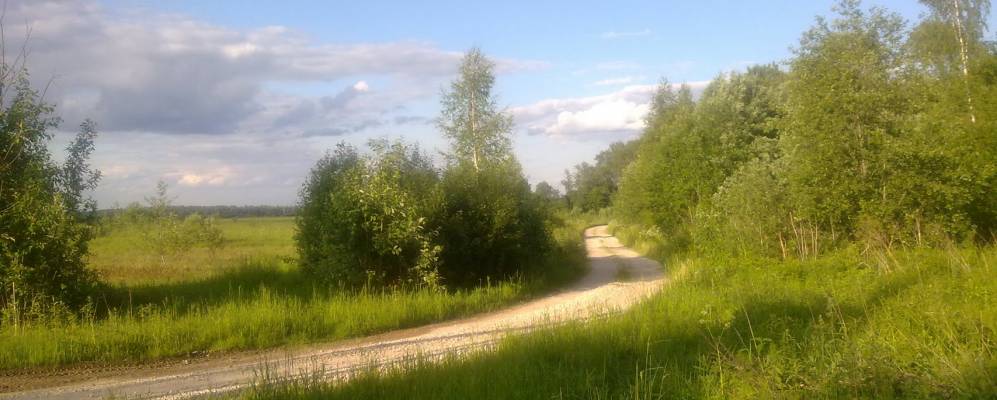 Фотография Языково