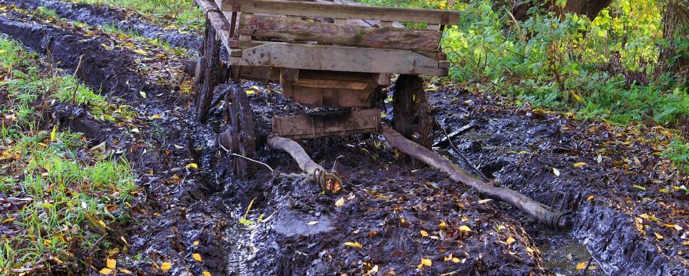 
            Фотография Шестаково