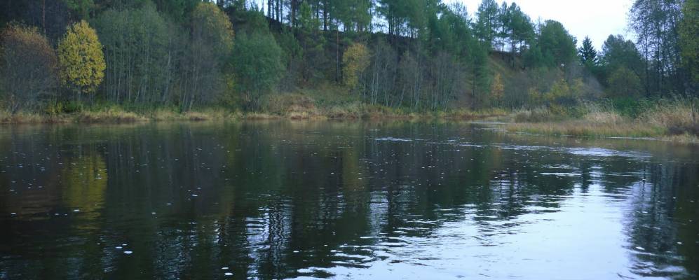 
            Фотография Пономаревской