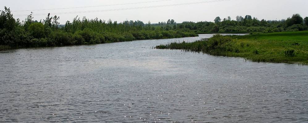 Фотография деревни Лоси