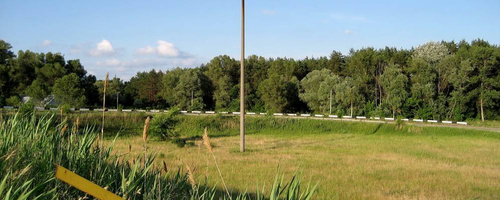 
            Фотография Горяновского