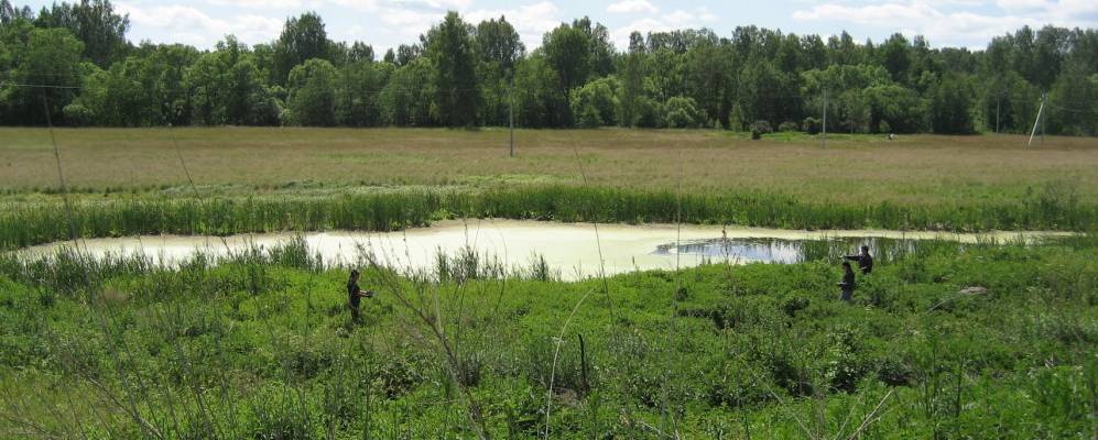 
            Фотография Полян