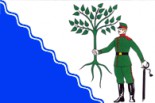 Флаг Новокубанска