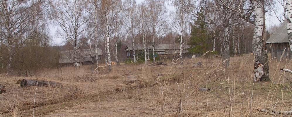 
            Фотография Петровского