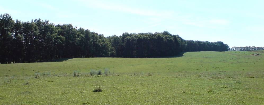 
            Фотография Дослидного