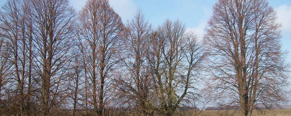 
            Фотография Крюково