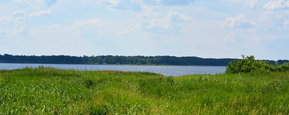 
            Фотография Линево