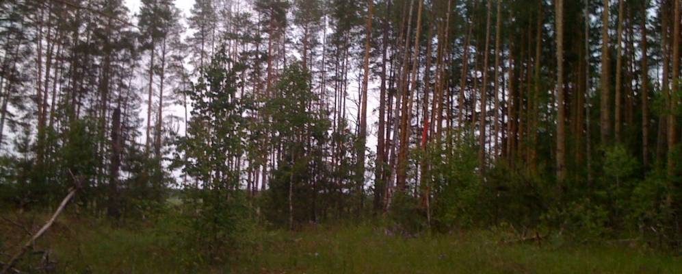 
            Фотография Давыдово