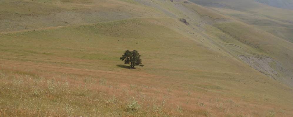 
            Фотография Ангиды