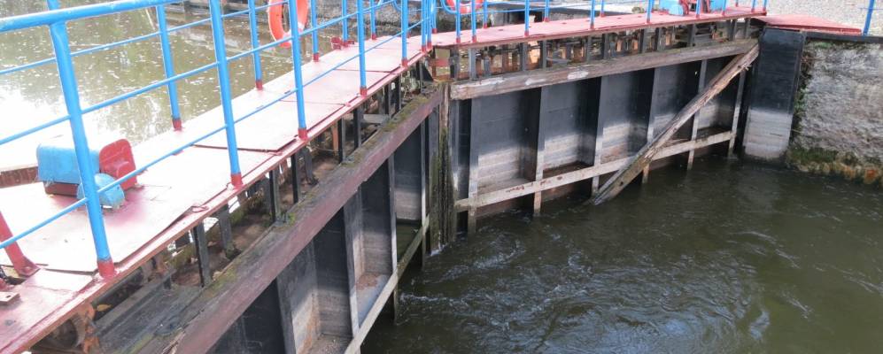 
            Фотография Кудричи