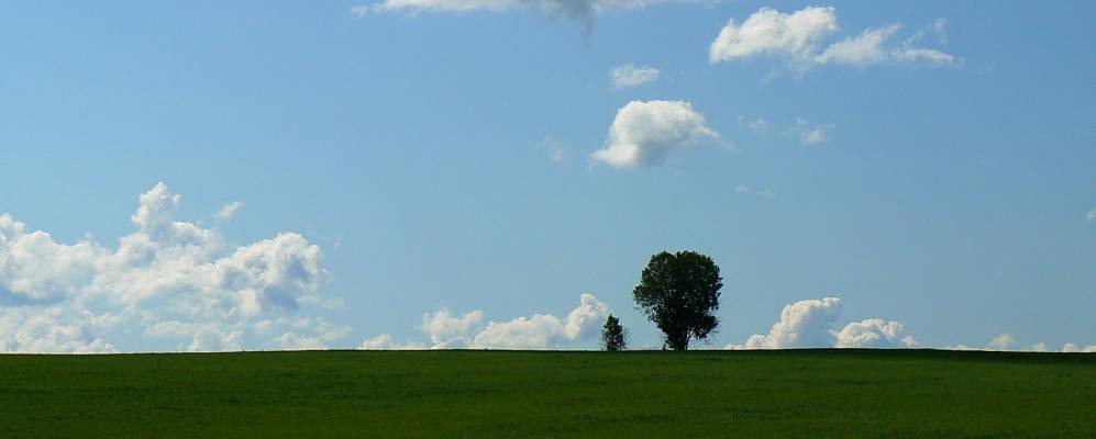 
            Фотография Горлово