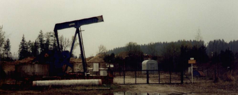 
            Фотография Рехтмеринга