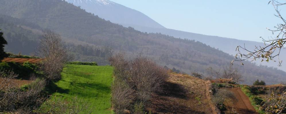 
            Фотография Ла-Матанса-де-Асентехо