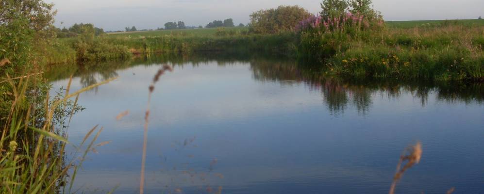 Фотография Александровки