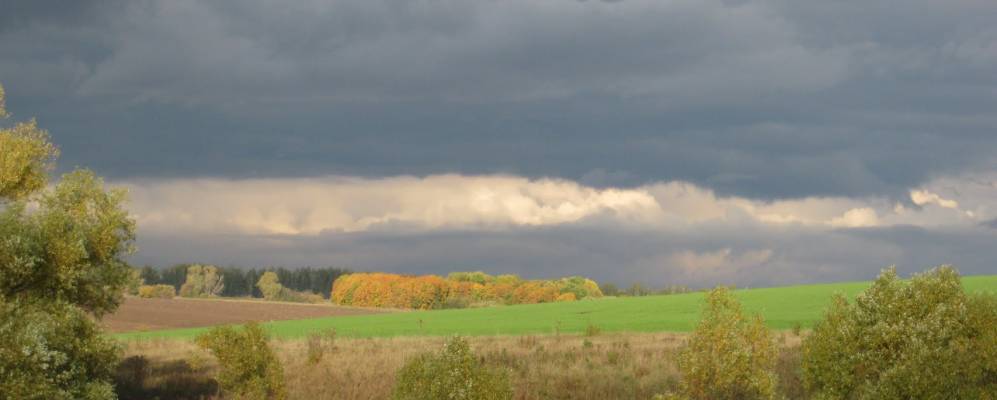 
            Фотография Лялино