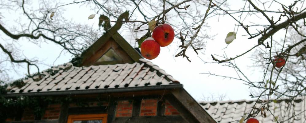 
            Фотография Блендера