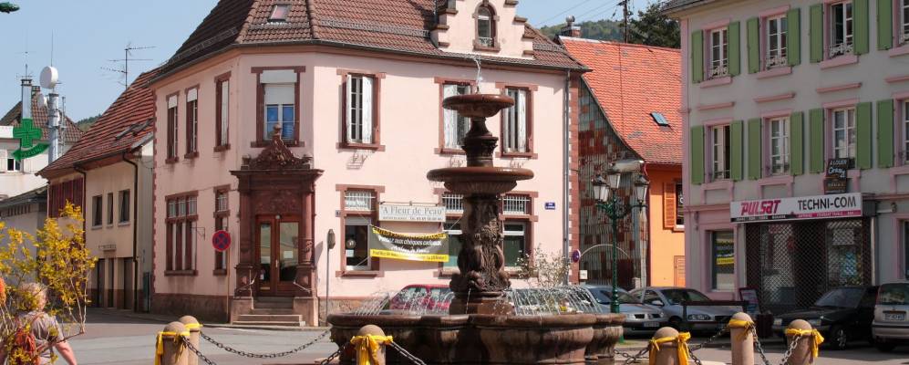 
            Фотография Мазво