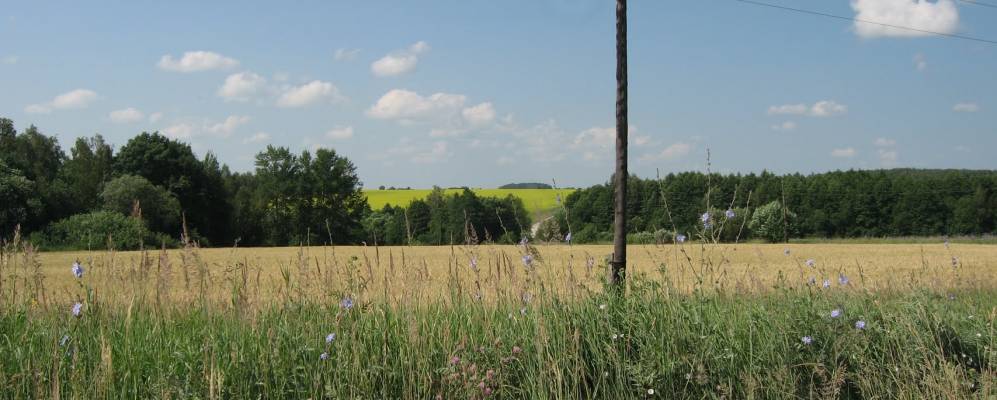 Фотография Хомутовки