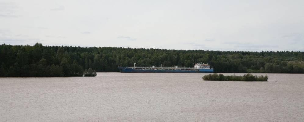 
            Фотография Новинки