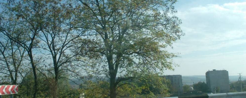 
            Фотография Быковеца