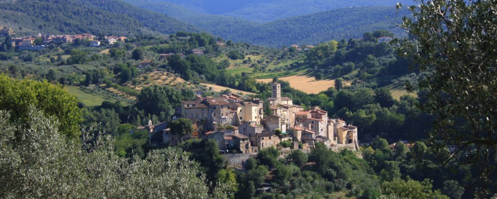 
            Фотография Тарано