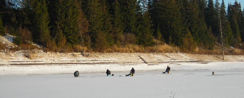 
            Фотография Нормабаша