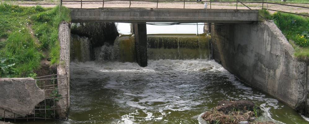 Фотография Жара