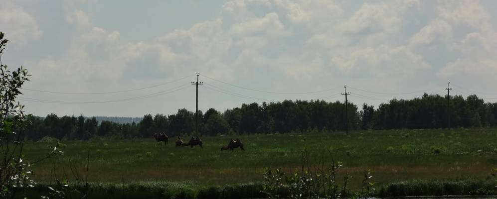 Фотография Красногорки