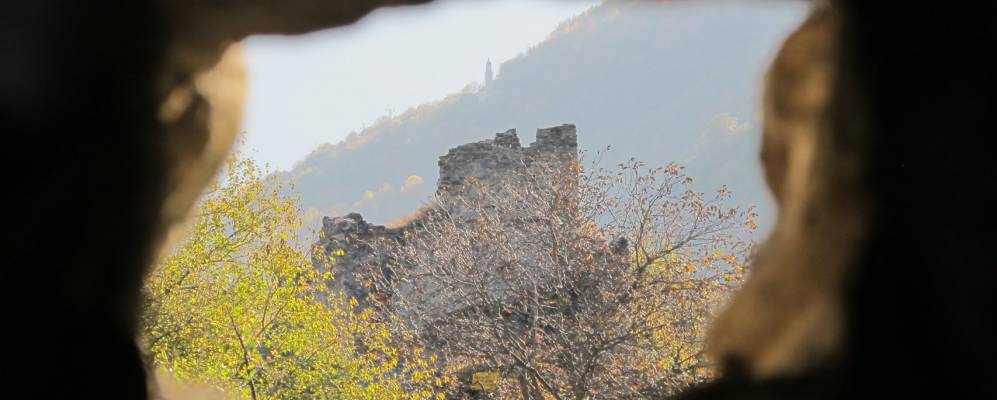 
            Фотография Грозьо