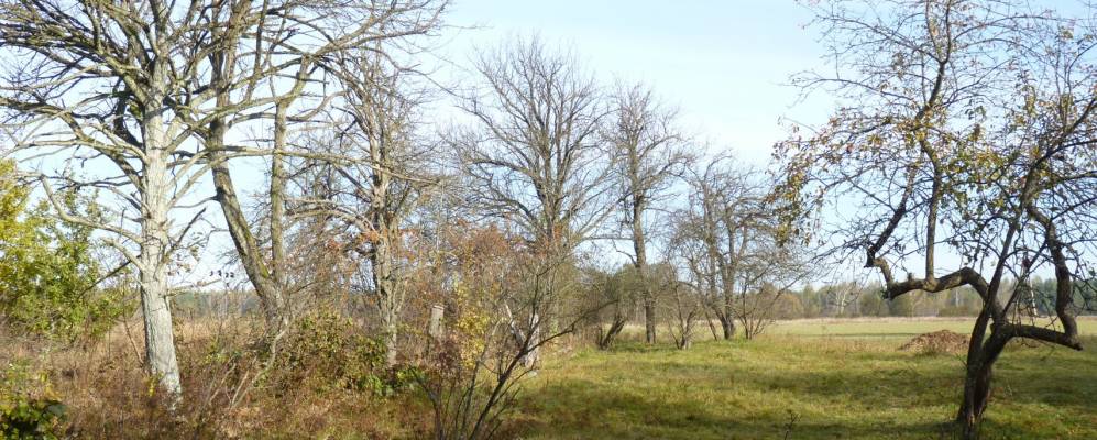 Фотография Суховщины