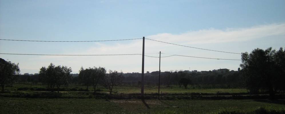 
            Фотография Секли