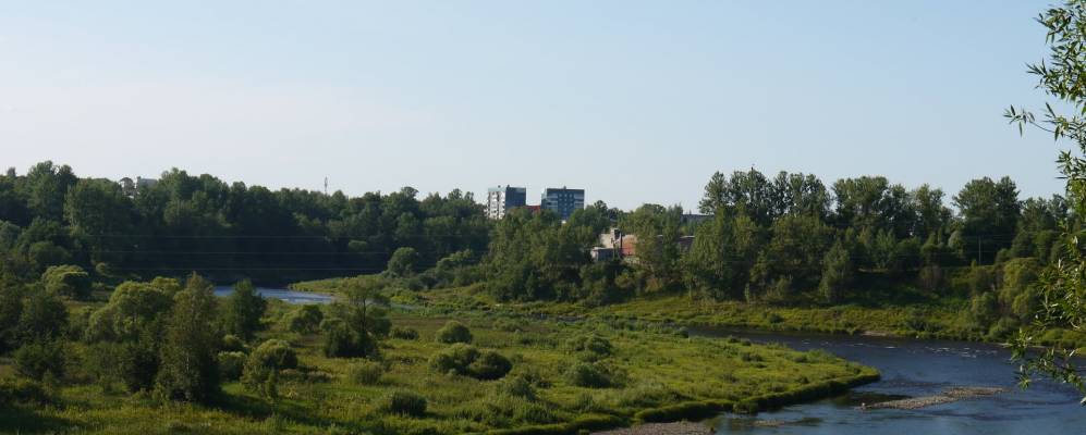 
            Фотография Шипино