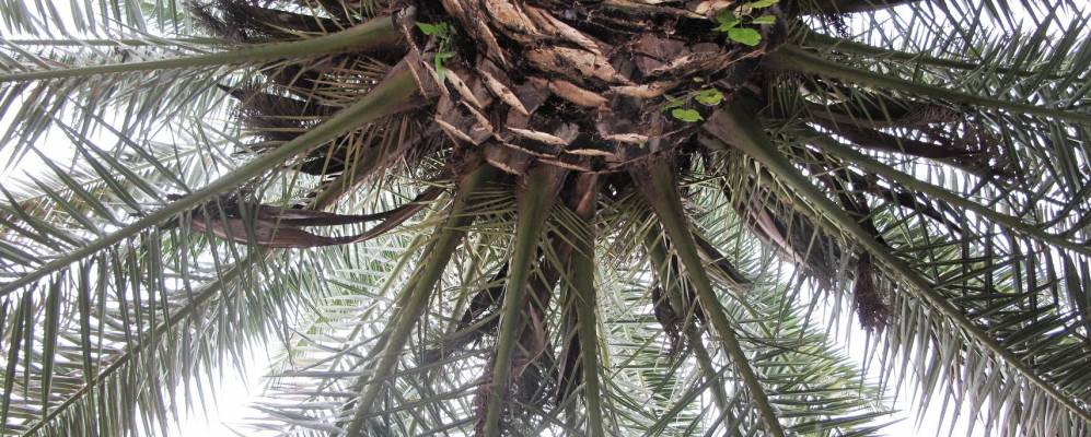 
            Фотография Флорансака