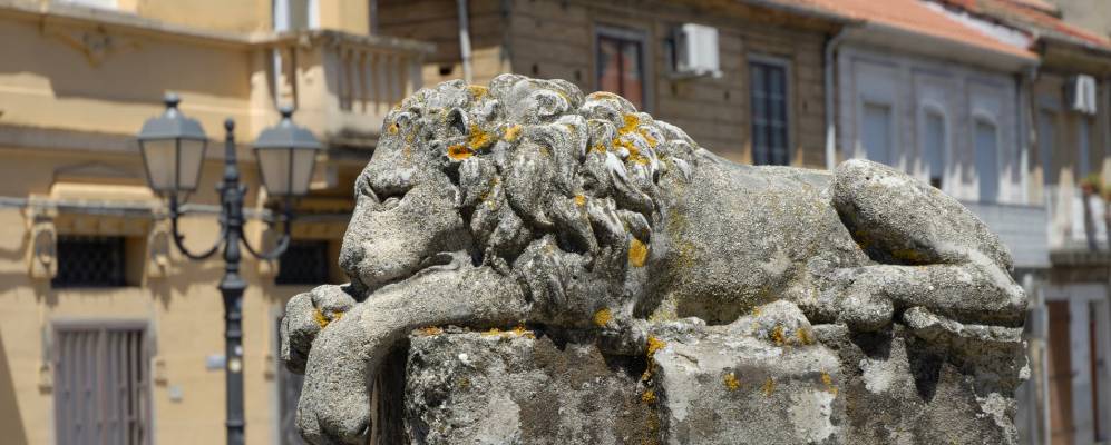 
            Фотография Сорианело