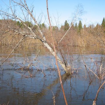 Алексеевка
