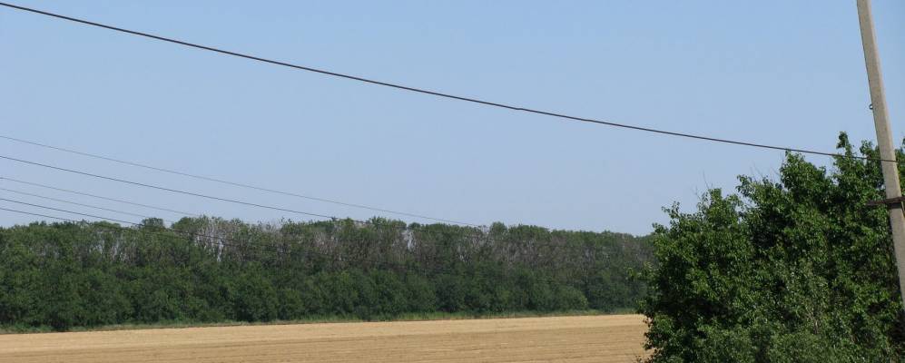 
            Фотография Прогресса