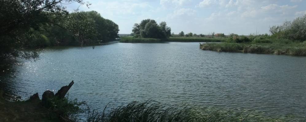 
            Фотография Пролетарки