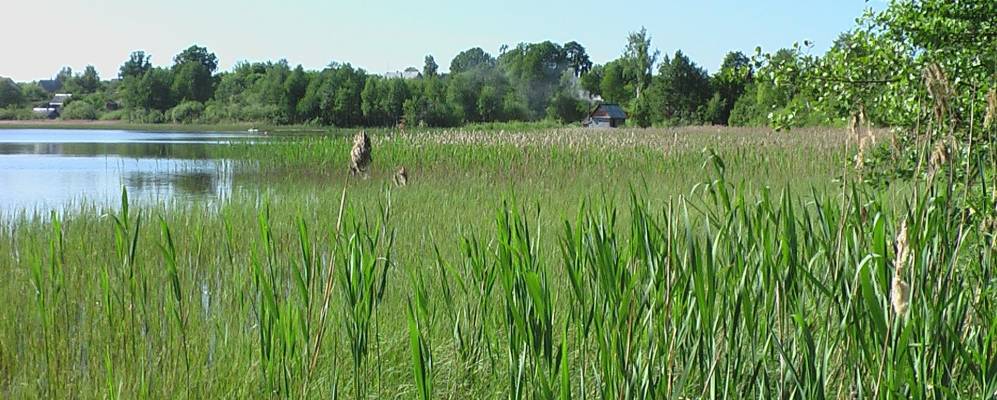 
            Фотография деревни Большие Озерцы