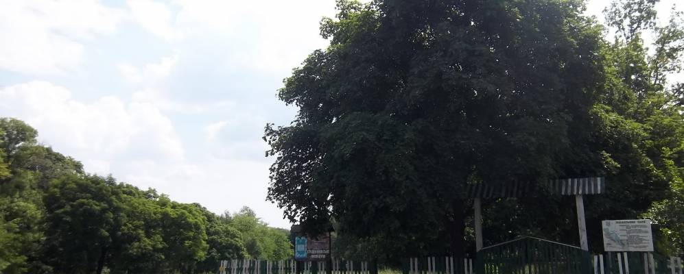 
            Фотография Плужники