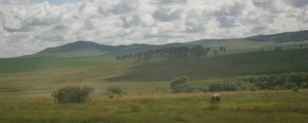 
            Фотография Прилук