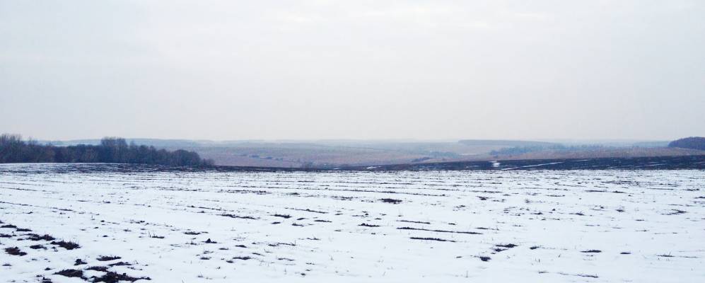 
            Фотография Федотово