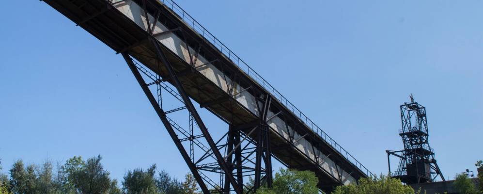 
            Фотография Вольного